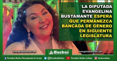 LA DIPUTADA EVANGELINA BUSTAMANTE ESPERA QUE PERMANEZCA BANCADA DE GÉNERO EN SIGUIENTE LEGISLATURA