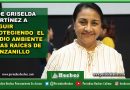 PIDE GRISELDA MARTÍNEZ A SEGUIR PROTEGIENDO  EL MEDIO AMBIENTE Y LAS RAÍCES DE MANZANILLO