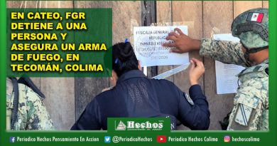 EN CATEO, FGR DETIENE A UNA PERSONA Y ASEGURA UN ARMA DE FUEGO, EN TECOMÁN, COLIMA