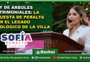 Ley de Árboles Patrimoniales: La apuesta de Peralta por el legado ecológico de La Villa​