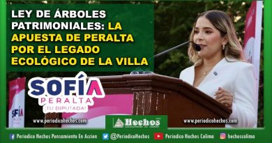 Ley de Árboles Patrimoniales: La apuesta de Peralta por el legado ecológico de La Villa​